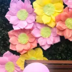Pappersblomma 60cm