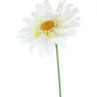 Jätteblomma 150cm