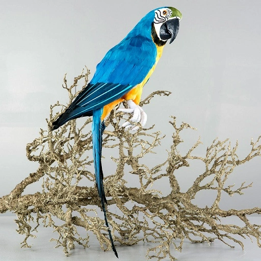 Papegoja 63cm