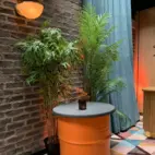 Palm Areca konst 200-220cm