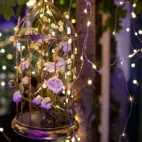 LEDslinga dew drops 100 LED