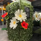 Jätteblomma 150cm