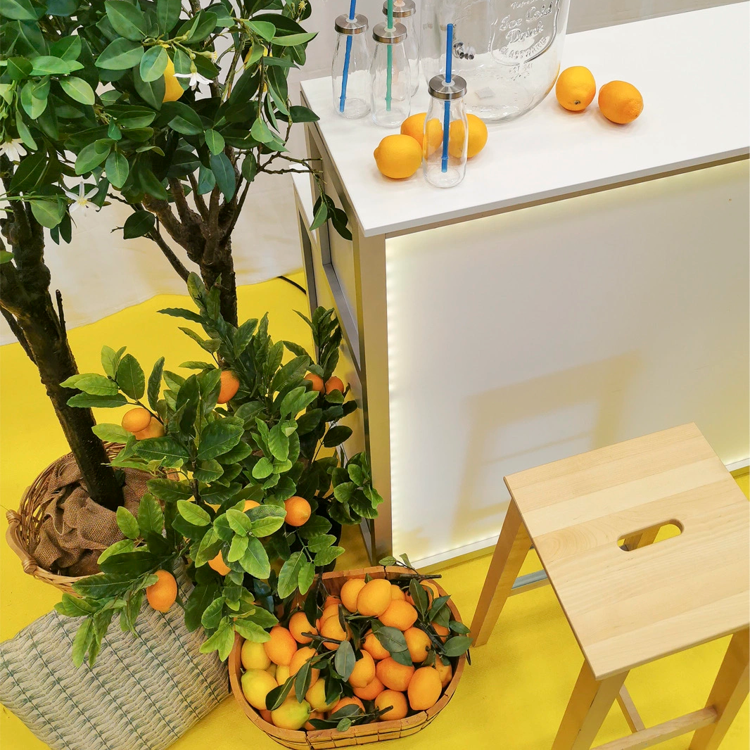 Citroner konst