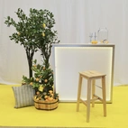 Citronträd 90cm