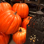 Pumpa 30cm