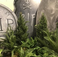 Gravstenar kapaskiva