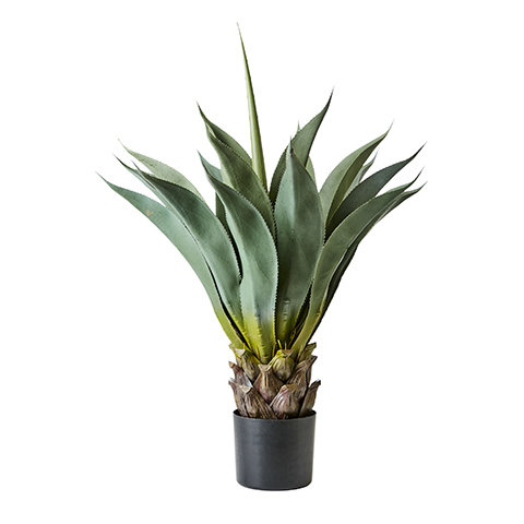 Kaktus Botanica konstväxt