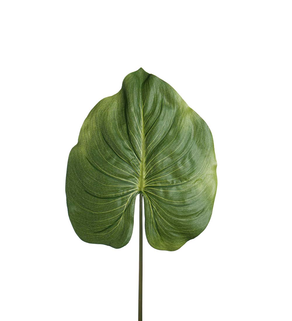Palmblad konst 85-120cm