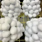 Snölykta