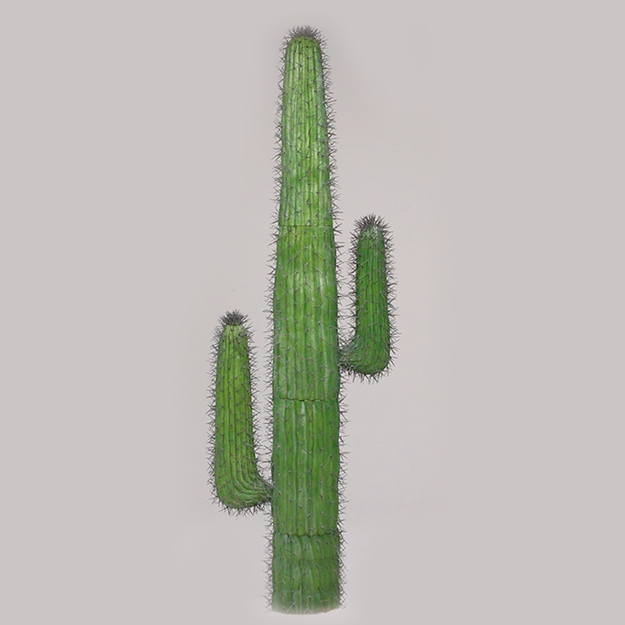 Kaktus 120cm