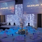 LEDgardin vit 1m x 2m