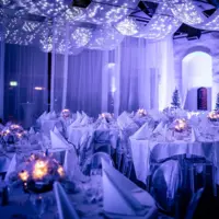 LEDgardin coolwhite