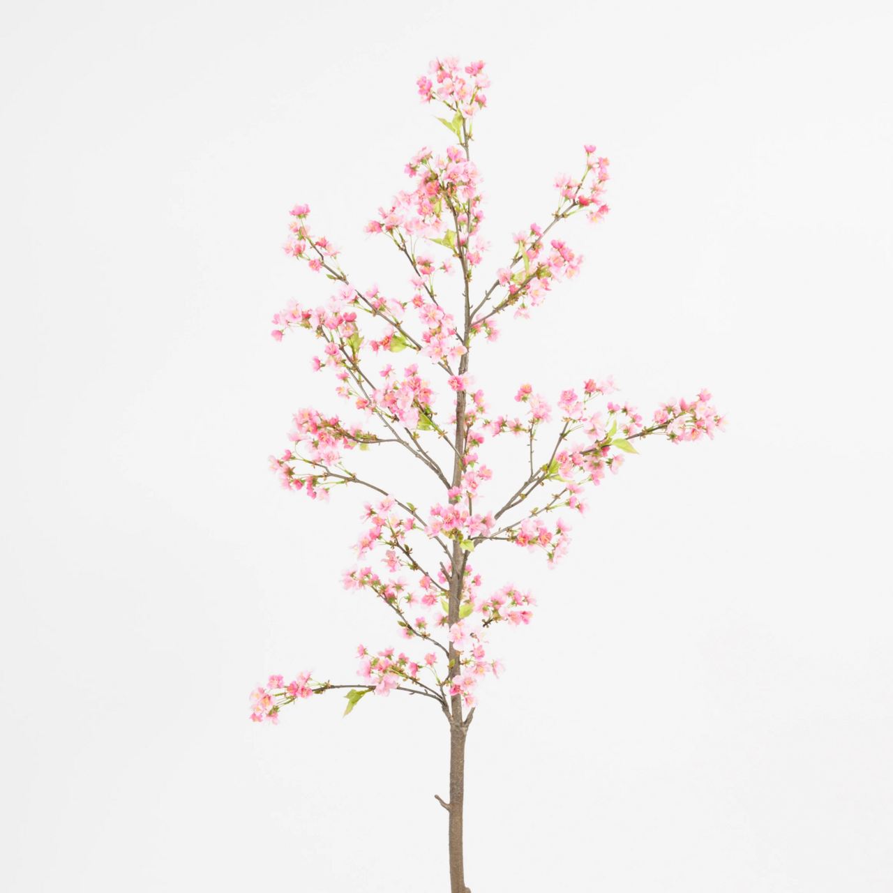 Körsbärsträd 180cm