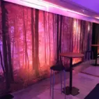Backdrop Höstsol