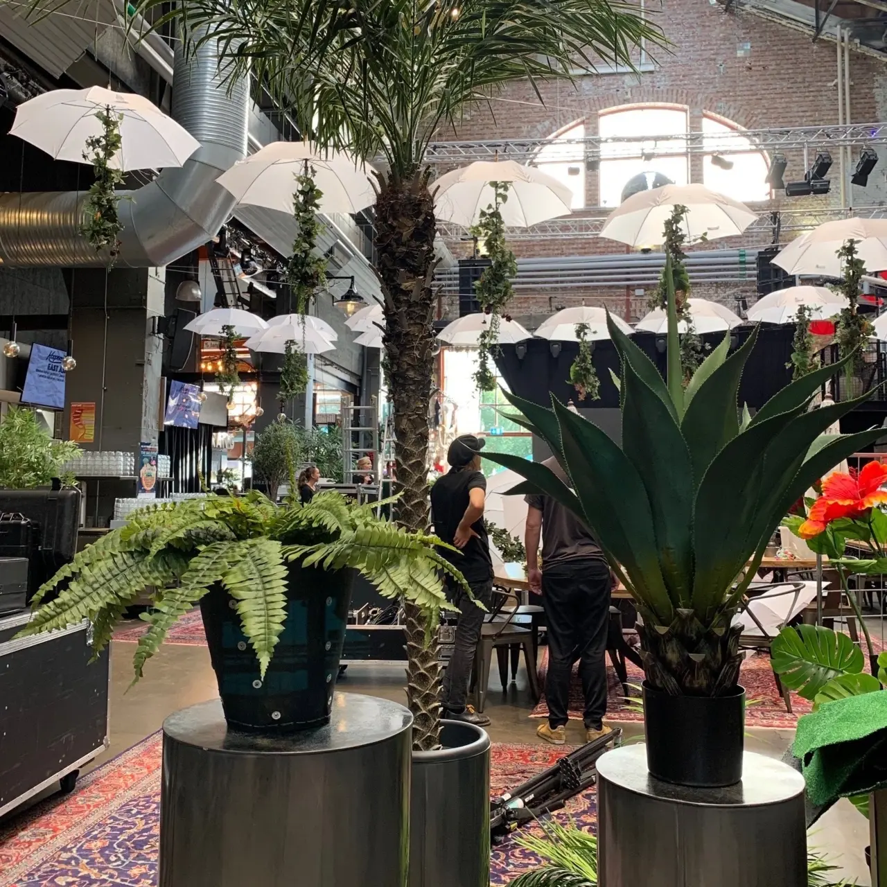 Kaktus Botanica konstväxt