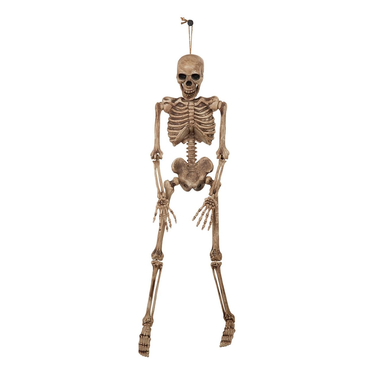 Skelett människa 106cm