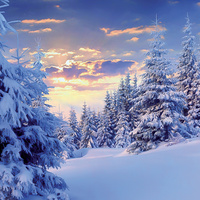 Backdrop Vinterlandskap höger