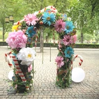 Pappersblomma 60cm