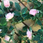 Blomgirlang rosor
